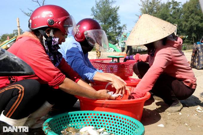 Loài cá từng bỏ đi nay thành đặc sản, thương lái tranh nhau mua-2