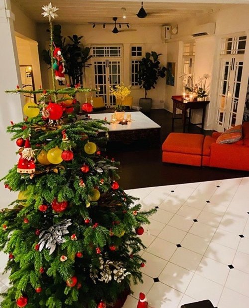 Cựu siêu mẫu Bằng Lăng hé lộ hình ảnh biệt thự cổ siêu sang tại Singapore-12