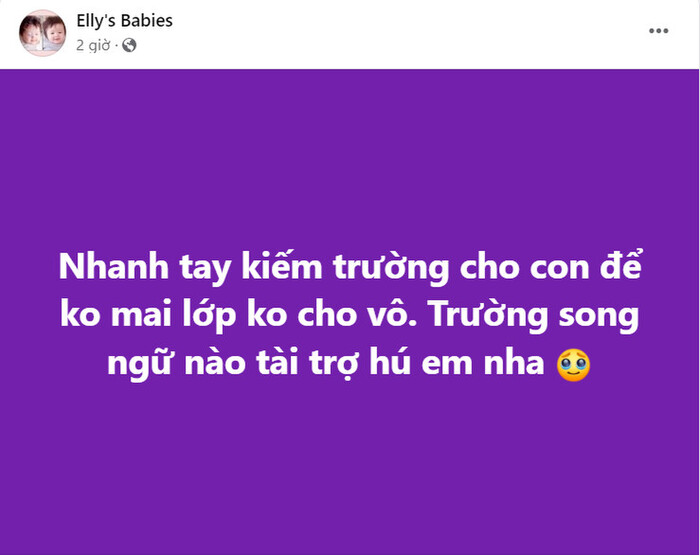 Elly Trần kêu gọi tài trợ sau khi bị chồng Tây ngừng chu cấp tiền học cho con-1