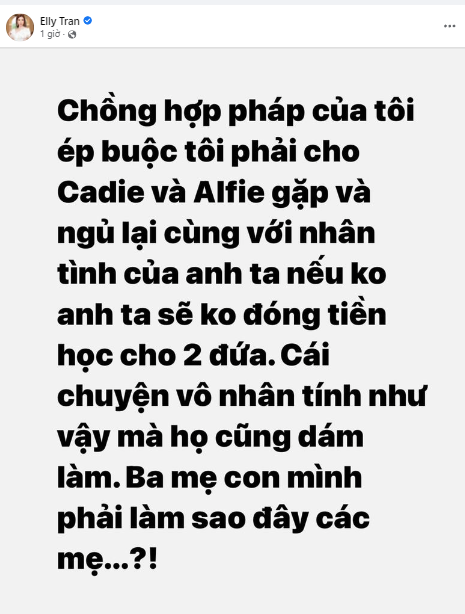 Elly Trần kêu gọi tài trợ sau khi bị chồng Tây ngừng chu cấp tiền học cho con-3