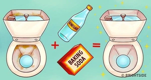 Đổ giấm nóng vào bồn cầu và để qua đêm, sáng ra gọi cả nhà xem điều đặc biệt-2