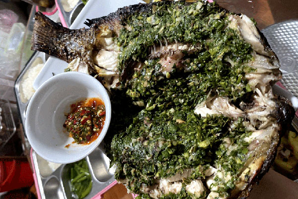 Loại cá nhìn tối thui khác lạ nhưng giá tới nửa triệu đồng/kg-4