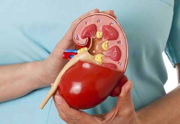 Sau độ tuổi này, các cơ quan của cơ thể sẽ già đi rất nhanh, biết trước sẽ giúp bạn chống lão hóa và ngừa bệnh tật-4