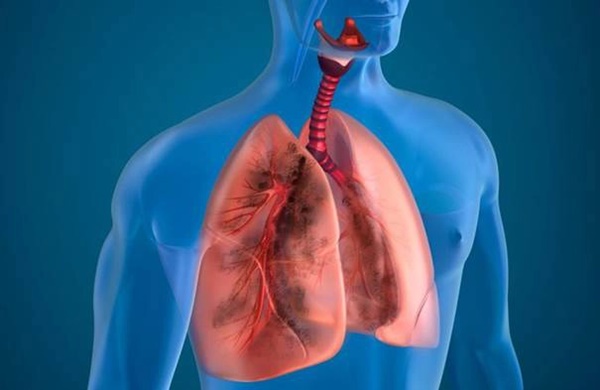 Sau độ tuổi này, các cơ quan của cơ thể sẽ già đi rất nhanh, biết trước sẽ giúp bạn chống lão hóa và ngừa bệnh tật-6