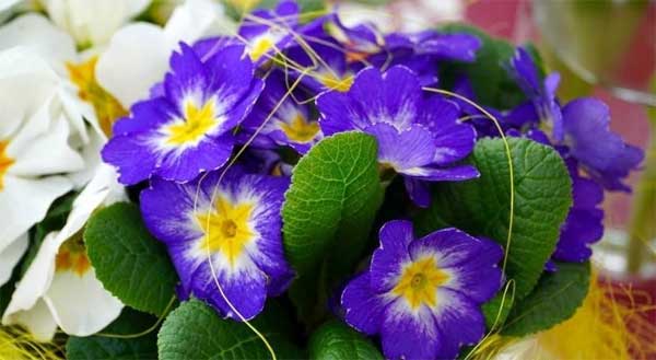 3 con giáp có năng lực, bản lĩnh, sống có trách nhiệm, làm việc gì cũng thành công-2