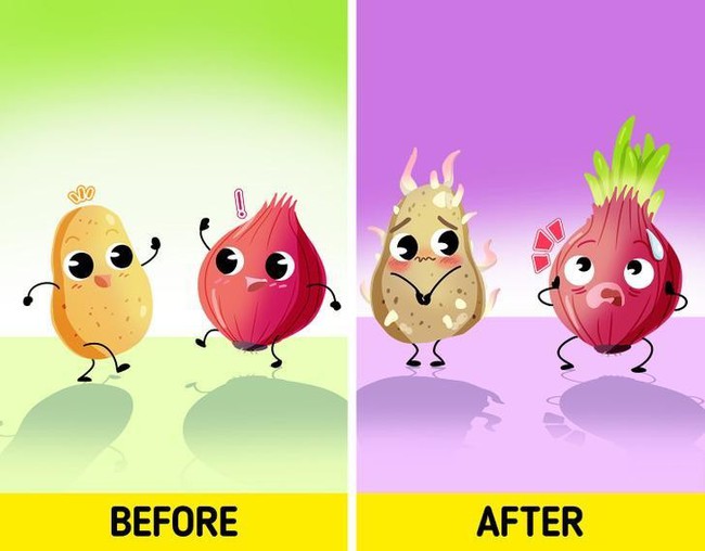 9 loại rau củ không nên bảo quản cùng nhau-3