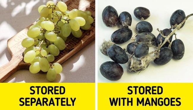 9 loại rau củ không nên bảo quản cùng nhau-7