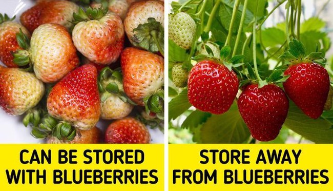 9 loại rau củ không nên bảo quản cùng nhau-8