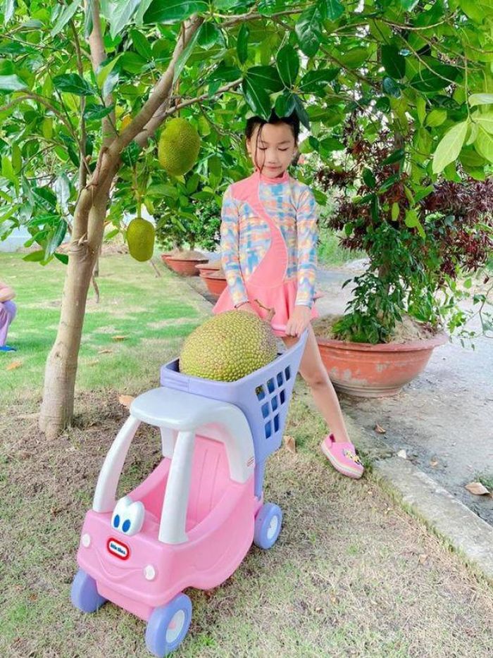 Ngắm biệt thự như resort của Ốc Thanh Vân-9