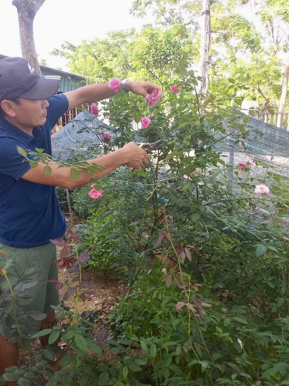 Căn nhà vườn con trai tặng bố mẹ, xanh mướt màu thiên nhiên, đẹp và bình yên đến nao lòng-31