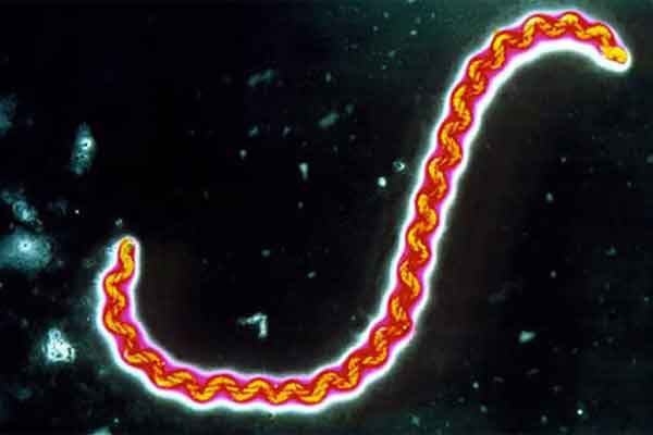 Bệnh nhân mắc cúm B tăng mạnh tại Hà Nội-2