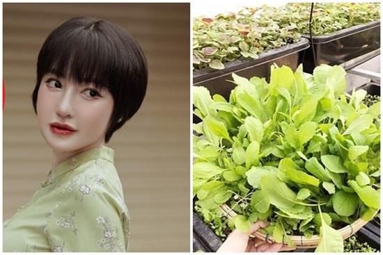 Hé lộ ngôi nhà vườn thiết kế hiện đại, ngập rau xanh của hotgirl Elly Trần, người đang gây chú ý cộng đồng mạng