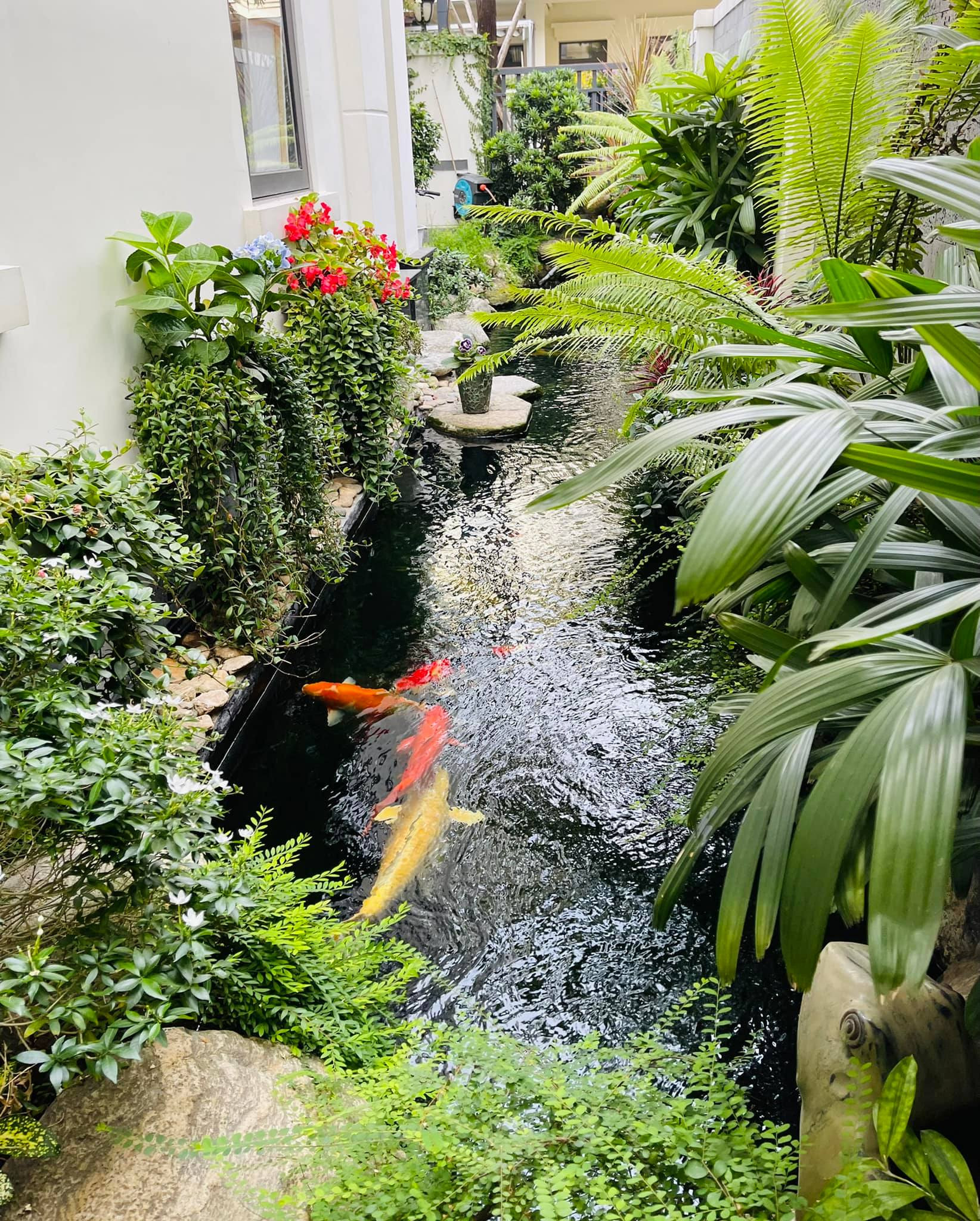 Ngắm chốn đi về của 2 mỹ nhân đình đám đóng Nhật ký Vàng Anh-23