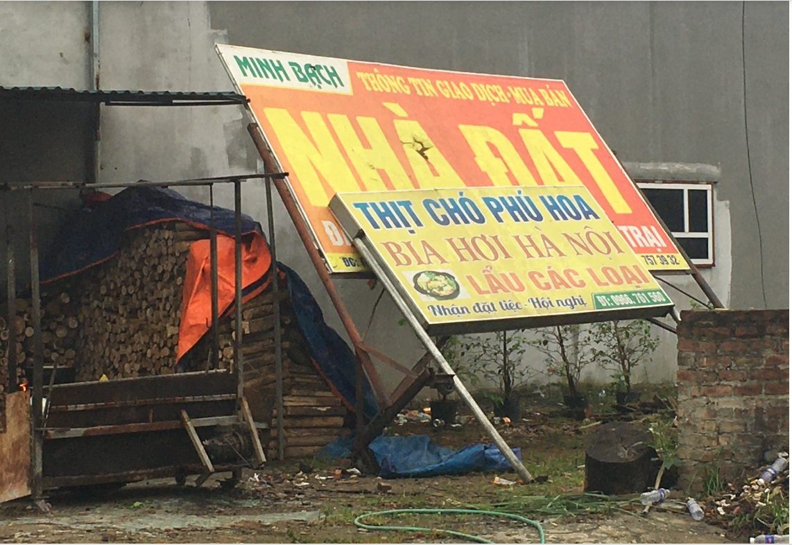 Mải mê ôm đất mong ăn quả đậm, môi giới nông dân lỗ nặng-3