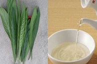 3 loại rau củ trong vườn là 'thuốc quý' cực tốt cho xương khớp, bất kể độ tuổi nào cũng nên tăng cường