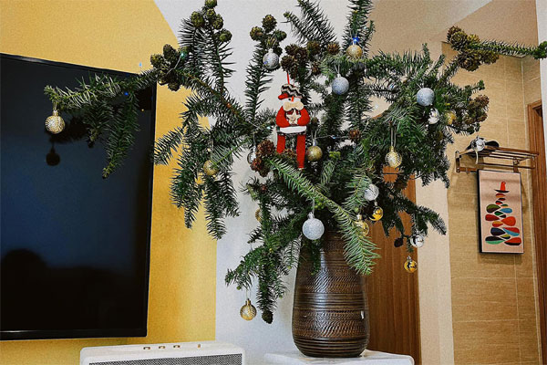 Ngôi nhà được trang trí Noel ấn tượng đến từng chi tiết-9