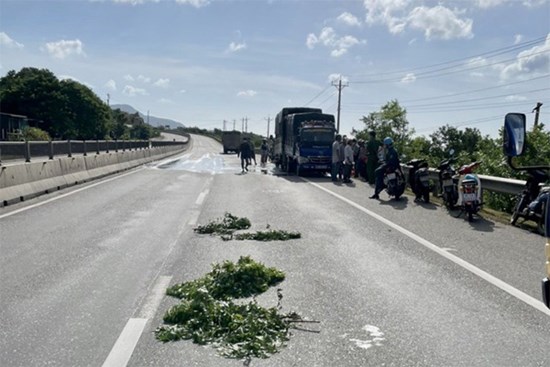 Dừng xe thay lốp trên Quốc lộ 1, 2 nạn nhân bị tông tử vong