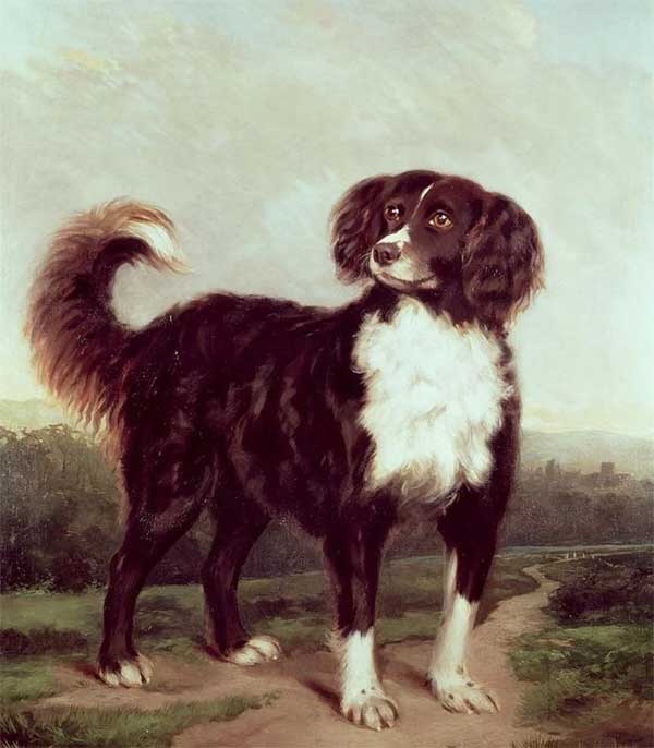 Phật Bà dẫn lối: 3 con giáp đổi vận giàu sang, dư dả tiền tiêu trong 9 ngày cuối tháng 10 âm lịch-1