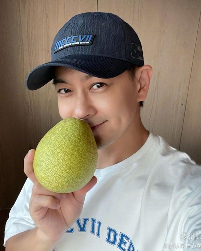 Cuộc sống hiện tại của Lâm Chí Dĩnh-3