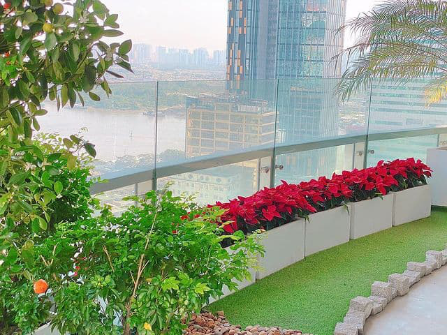 Nhà của Hoa hậu Đặng Thu Thảo: Bề thế bậc nhất Sài Thành, ngập tràn hoa và cây xanh-5