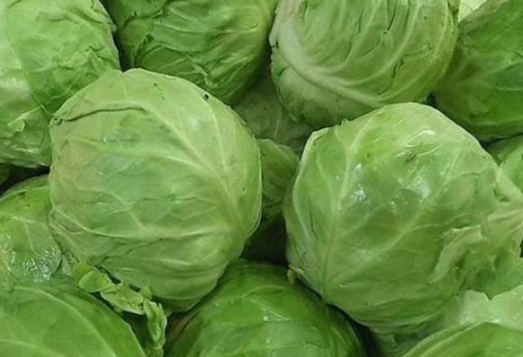 Khi mua bắp cải, bạn nên chọn bắp cải chắc hay lỏng? Người nông dân: Sự khác biệt rất lớn, bạn đừng mua nhầm-1
