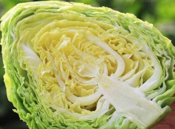 Khi mua bắp cải, bạn nên chọn bắp cải chắc hay lỏng? Người nông dân: Sự khác biệt rất lớn, bạn đừng mua nhầm-2