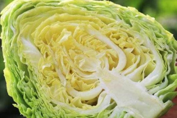 Vắt một ít chanh lên quả bơ, mẹo hay tuyệt vời chỉ những người sành sỏi mới biết-16