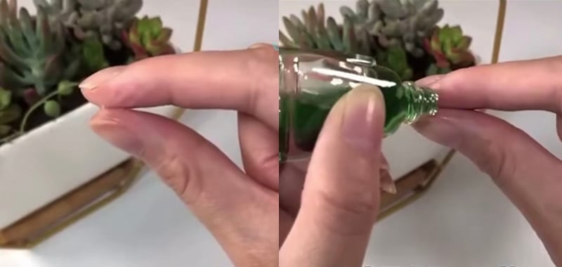 Đặt một lọ dầu gió trong nhà vệ sinh: Đêm hay ngày đều cực tốt-5