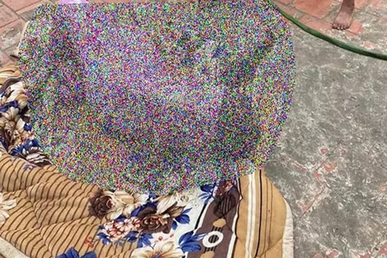 Mua thuốc cai nghiện cho con về, phát hiện con đã chết cháy