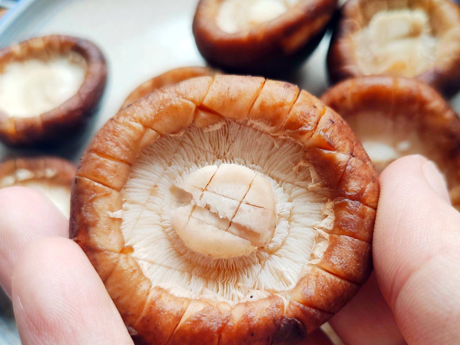 Nấm om tương: Món ngon dễ làm ngày gió lạnh-1