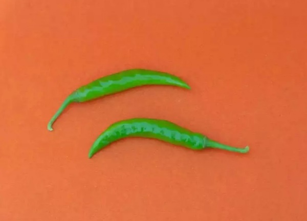 Những lợi ích tuyệt vời mà ớt xanh mang lại-4