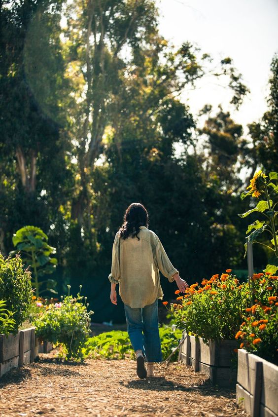 Nhiều người bỏ việc để sống ẩn dật trên núi đều đang hối hận-3