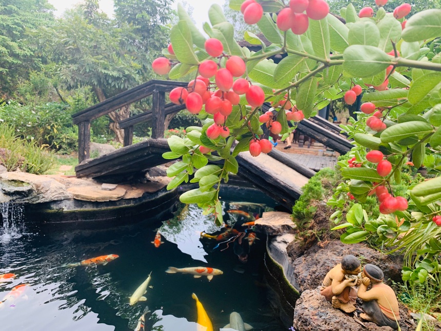 5 năm xây nhà vườn như biệt phủ của diễn viên hài nặng 147kg-13