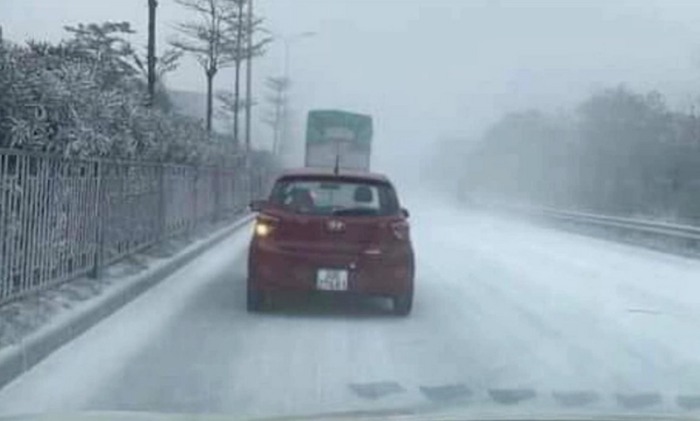 Sự thật về con đường ở Hà Nội phủ đầy tuyết trắng như trời Âu-2