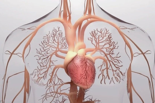 Nữ sinh phát hiện mắc bệnh nguy hiểm chỉ sau 3 ngày sốt nhẹ-1