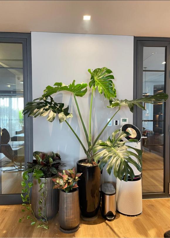 Không gian ngập sắc xanh bên trong penthouse sang chảnh của vợ chồng MC Thành Trung-3