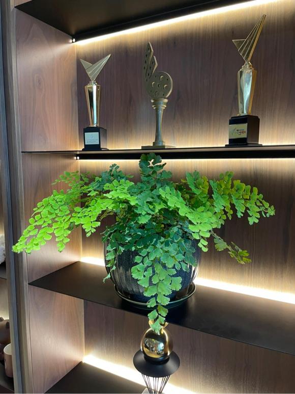 Không gian ngập sắc xanh bên trong penthouse sang chảnh của vợ chồng MC Thành Trung-5