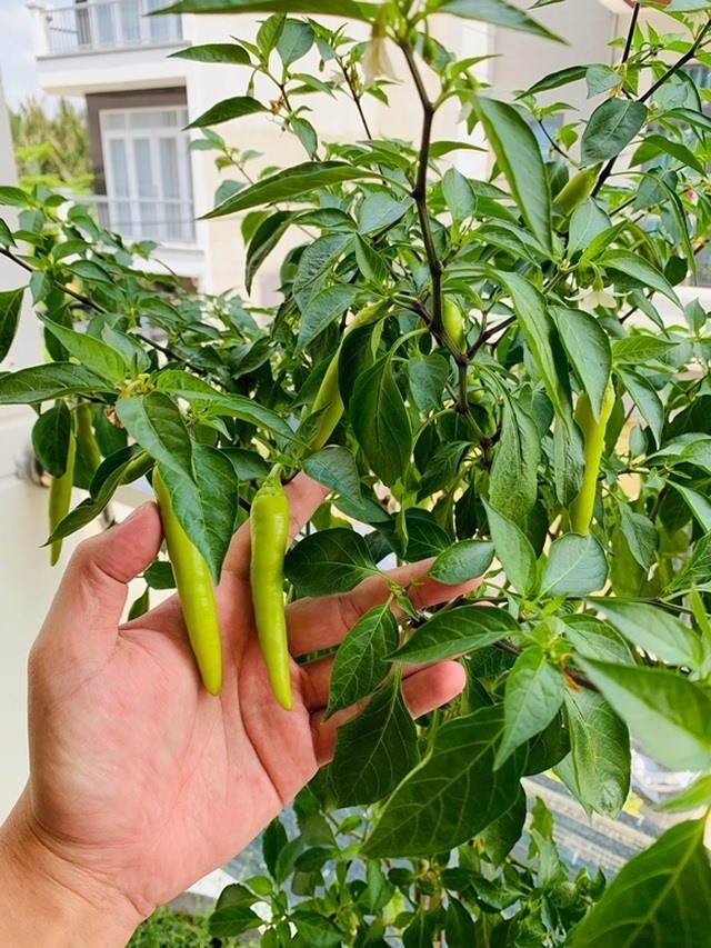 Khám phá biệt thự đẳng cấp của Hải Băng - Thành Đạt-15