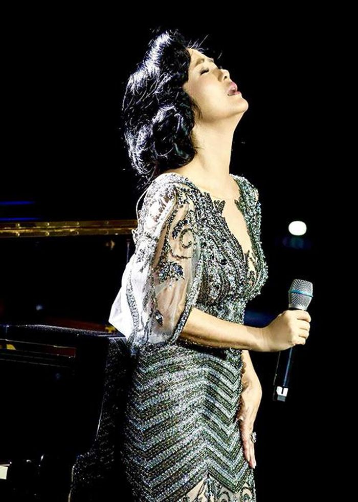 Diva Hồng Nhung tìm lại hạnh phúc sau ly hôn chồng Tây thế nào?-3