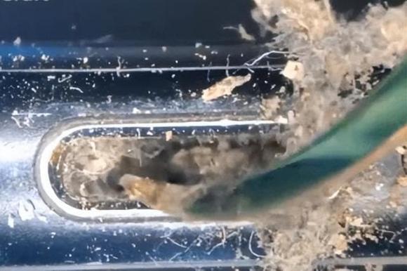 Làm thế nào để làm sạch bụi bẩn trong lỗ điện thoại?-1