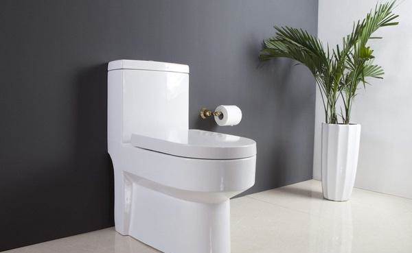 Đổ thứ này&nbsp;vào bồn cầu, vết nước tiểu vàng và mùi hôi sẽ bị loại bỏ sau 2 giây, lại còn&nbsp;trắng như mới-3