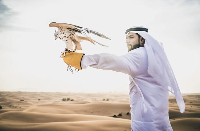Chim quý tộc ở Qatar dự đoán kết quả trận khai mạc World Cup 2022-2