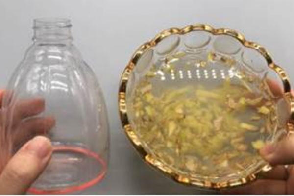 Muốn thịt lợn tự đào thải độc tố, cứ làm theo cách này, ai cũng thấy hiệu quả-4