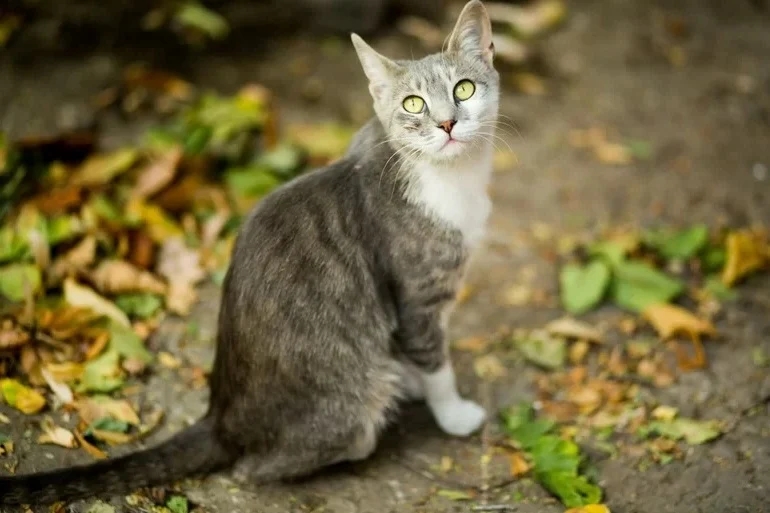 Thời tới cản không nổi: 3 tuổi đạp trúng hố vàng, giàu ú ụ trong 2 năm tới-1