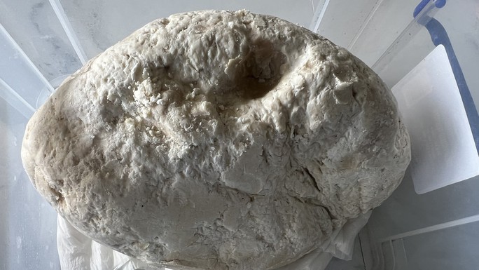 Ngư dân vớt được vật lạ nghi là long diên hương quý hiếm-1