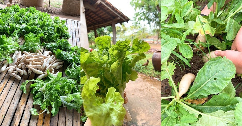 Nhà vườn như khu nghỉ dưỡng của nữ diễn viên vừa xuất viện sau ca mổ tim-14