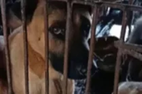 Đốt người yêu vì bị đòi chia tay-2