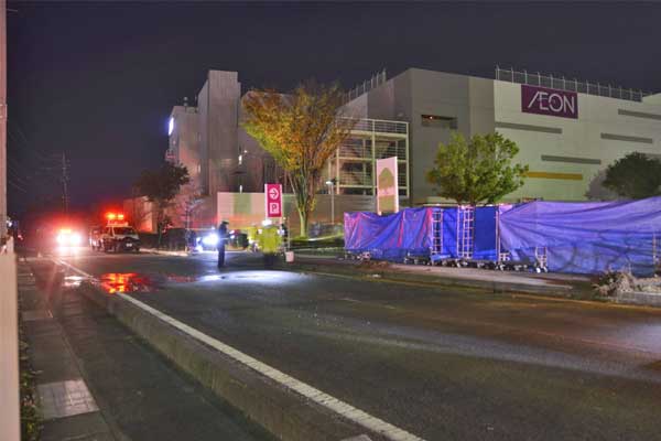 Chồng gục ngã bên thi thể vợ bầu và 2 con nhỏ bị xe tải cán tử vong-7