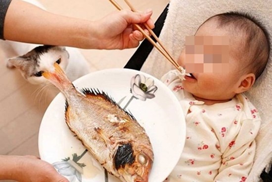 Cảnh giác với ngộ độc thực phẩm nếu trẻ có dấu hiệu này sau ăn