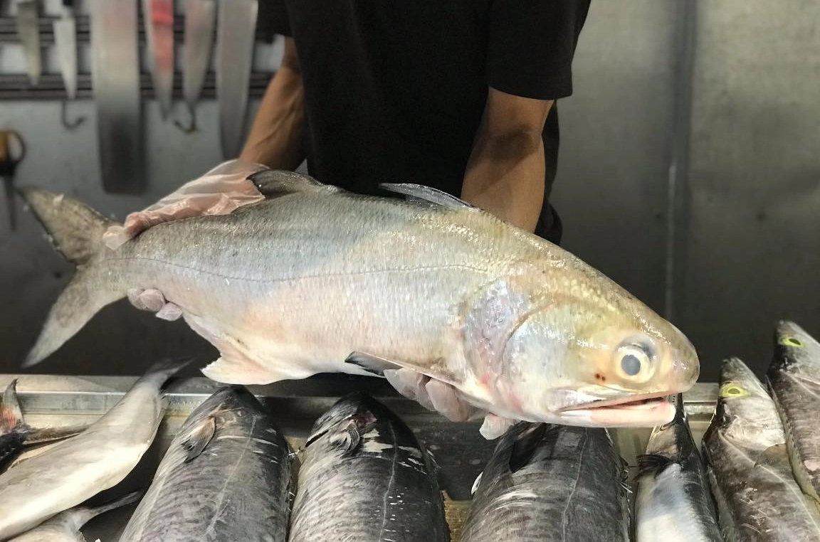 Loại cá là đặc sản của các tỉnh phía Bắc, giá bán 300 nghìn/kg vẫn được yêu thích-1